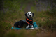 trekking_fleece_jacket_setting_3.png