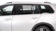 prod1000-clip_13102-2.png