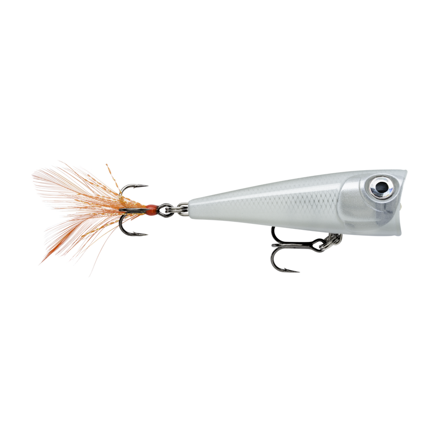 image-247222311749-image_atorsvpqn92hb4clb9jkscvl29--s1536x2048-fpng-151381_swatch.png