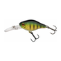 Perch