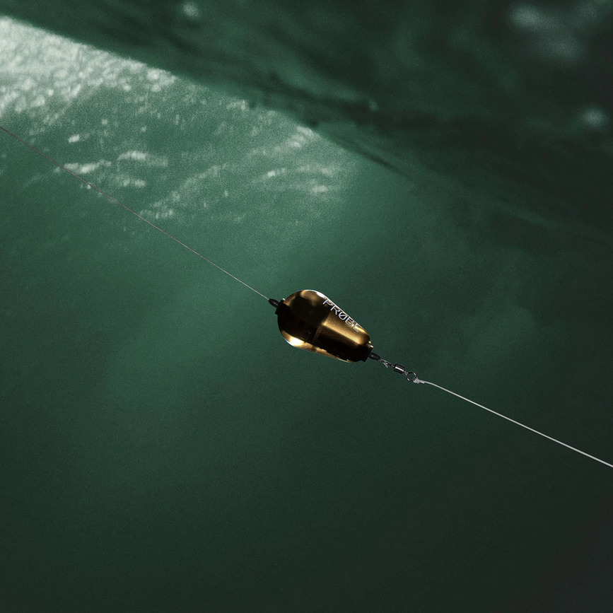 fishprobe_10.png