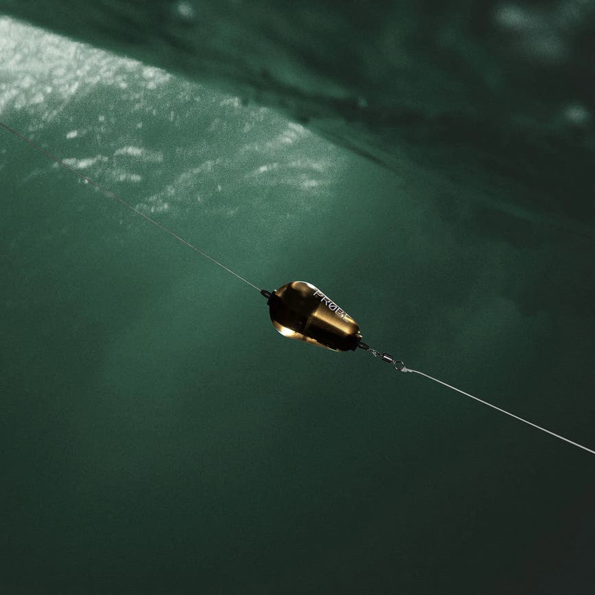 fishprobe_10.png