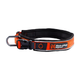 cdn-shop-files-roam_collar_1.png