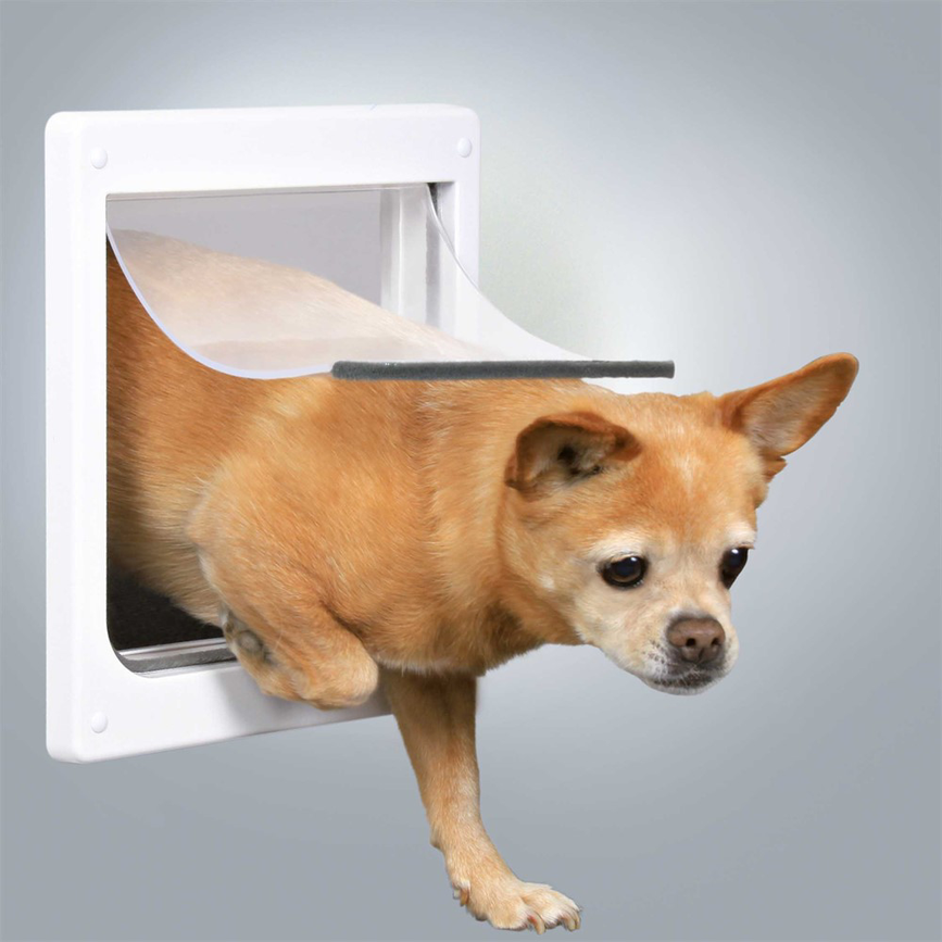 prod1000-dog_3877-1_.png