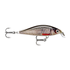 api-2000x2000,fit-new-151369.png