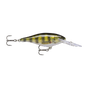 Live Perch
