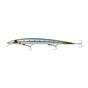Sardine