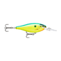 Gilded Parrot