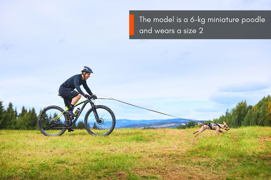 freemotion_harness_setting_2.png