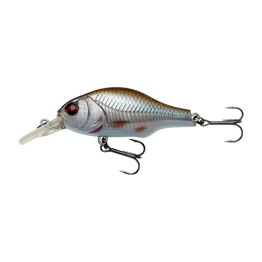svs71684_ms.png