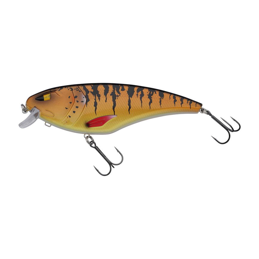 1639919_ms.png