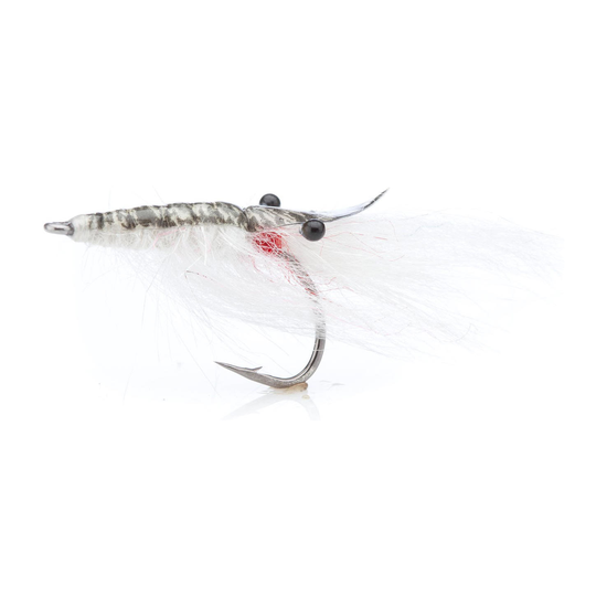 4-fairpoint-public-pim-bc-4539cafc-f622-4ae4-a88f-c1d764747a6b-fl00599a_fl00501_johnshrimp_white_large.png