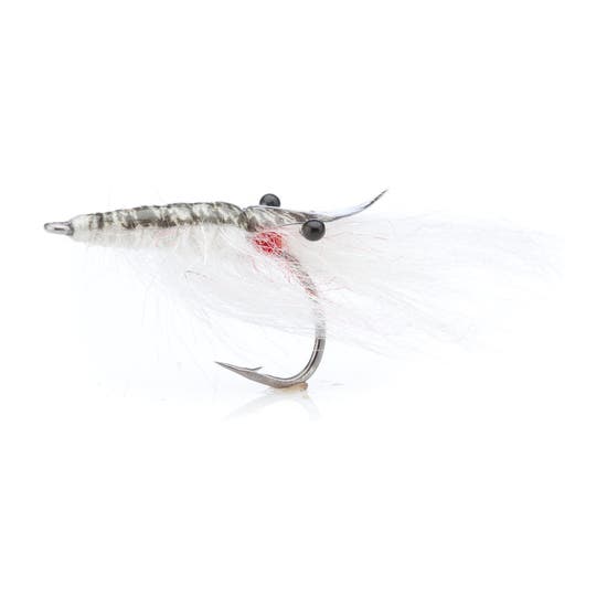 4-fairpoint-public-pim-bc-4539cafc-f622-4ae4-a88f-c1d764747a6b-fl00599a_fl00501_johnshrimp_white_large.png