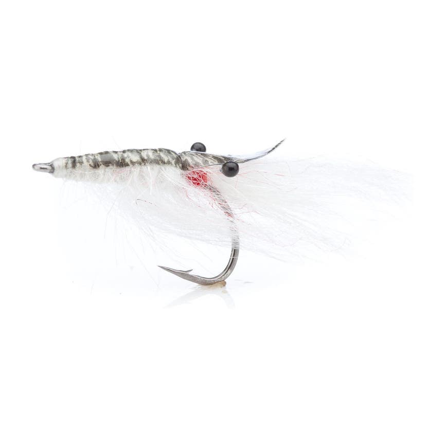 4-fairpoint-public-pim-bc-4539cafc-f622-4ae4-a88f-c1d764747a6b-fl00599a_fl00501_johnshrimp_white_large.png