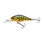 Gold Perch