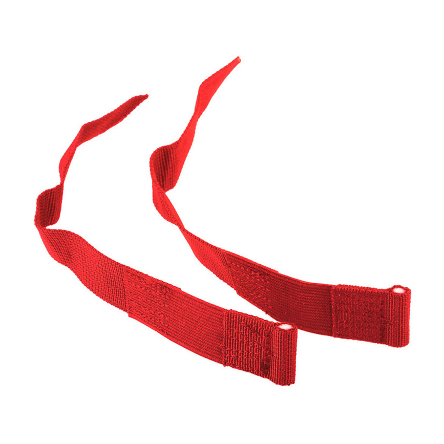 combined_harness_4.png