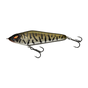 Live Burbot