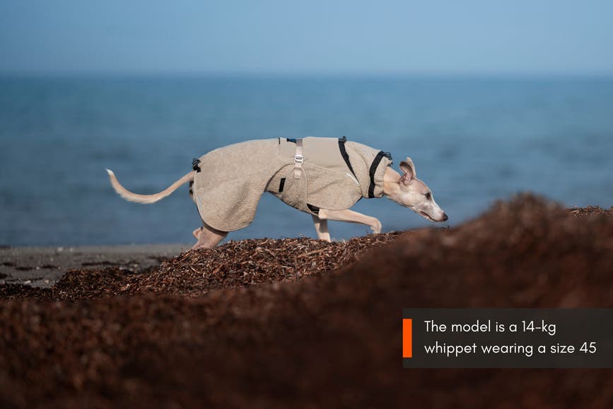 wool_dog_jacket_setting_3.jpg