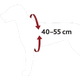 prod1000-12855-1-illustration.png