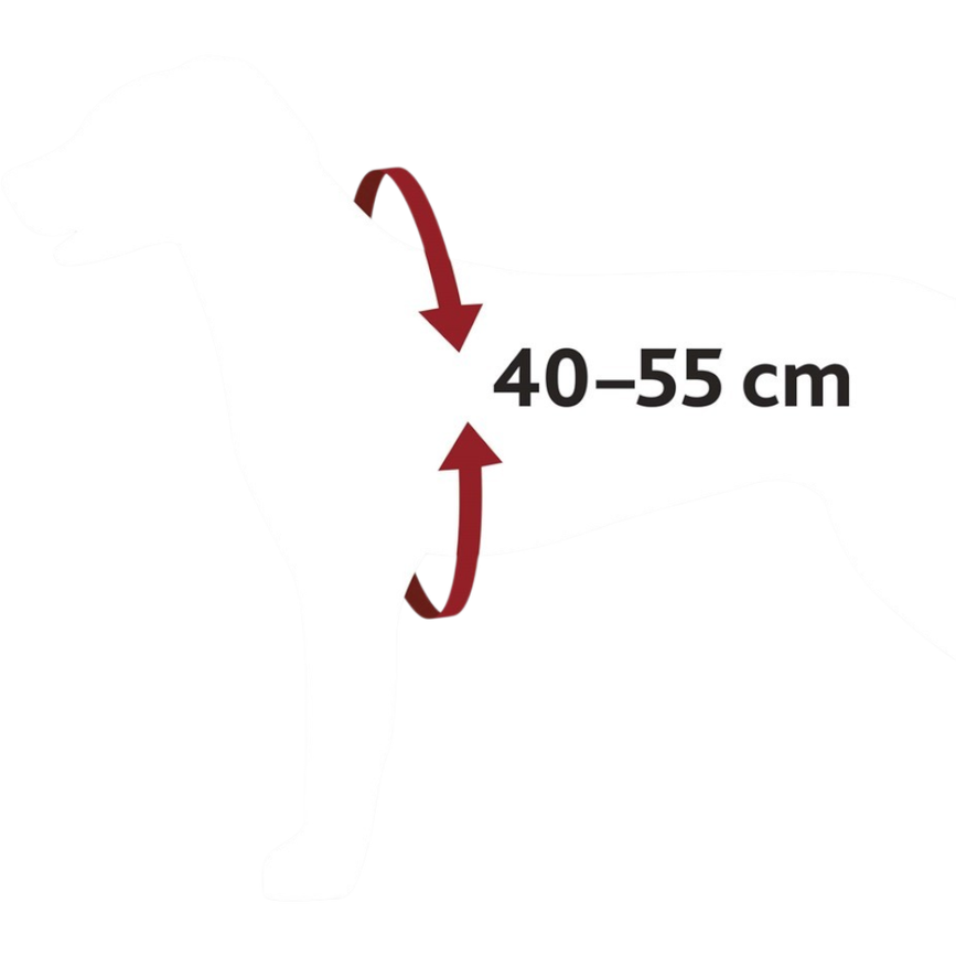 prod1000-12855-1-illustration.png