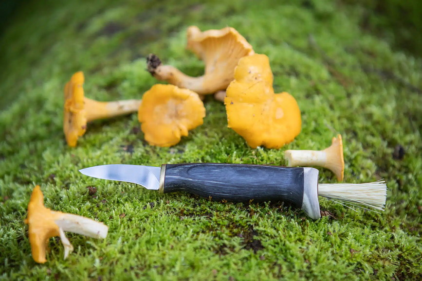 2023-03-al-muschroom-knife-black-birch-2_.webp.png
