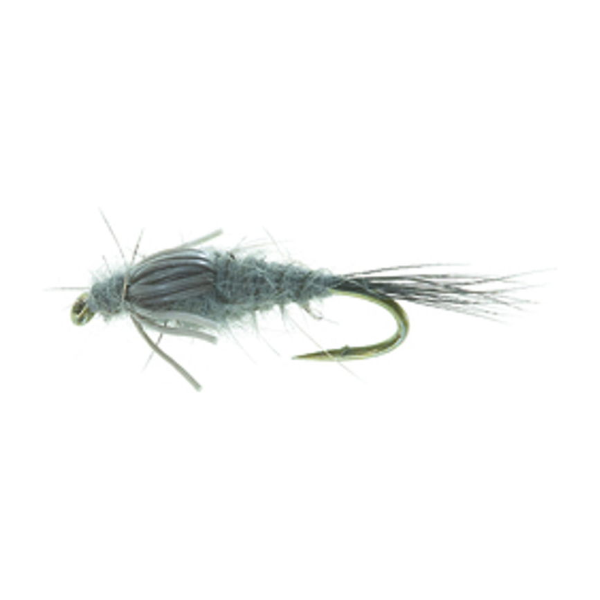4-fairpoint-public-pim-bc-bc036738-fcaf-4db4-b096-3f3a7cc93803-fl31099f_fl31006_large.png