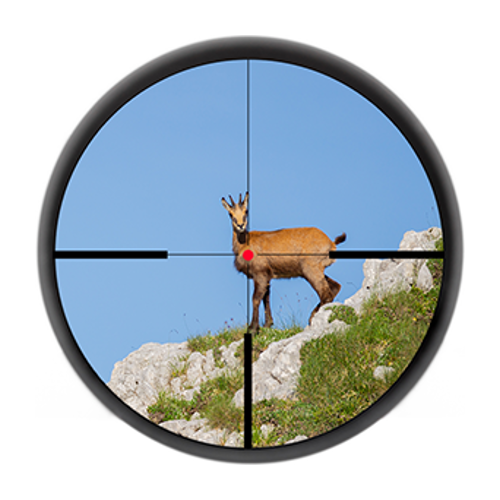 a1-a5-dd-1705059398-ranger4_hd-optik_web.png