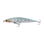 Sardine Loose Scales