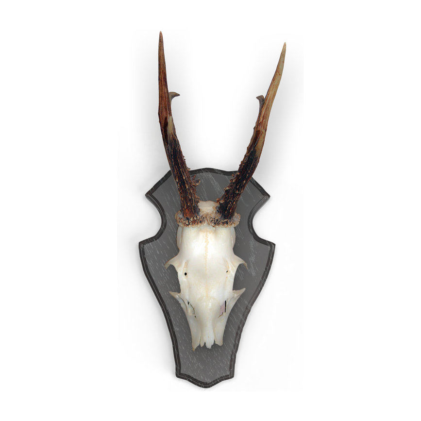 x-560800_2.png