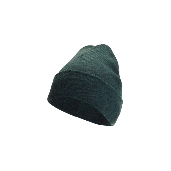 J0013113_1.png