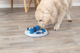 prod1000-dog_32053-1.png