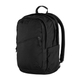 raven_28_23345-550-550_f_main_fjr.png