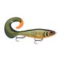 Scaled Roach