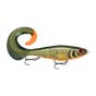 Scaled Roach