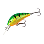 Rainbow Trout