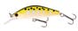 Trout