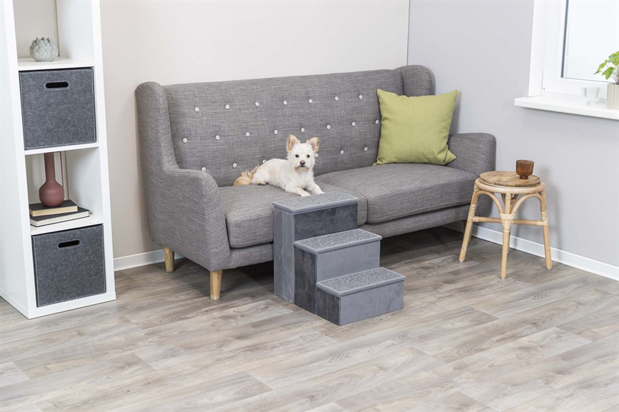 prod1000-dog_39490-01-39435-2.png