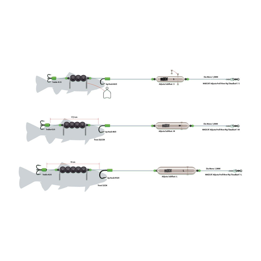 svs_mct008_ms.png