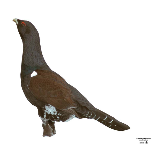 22-5120tjader.png