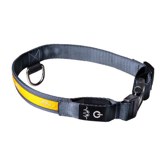 10-1b-1e-1720088527-bla_hundehalsband.png