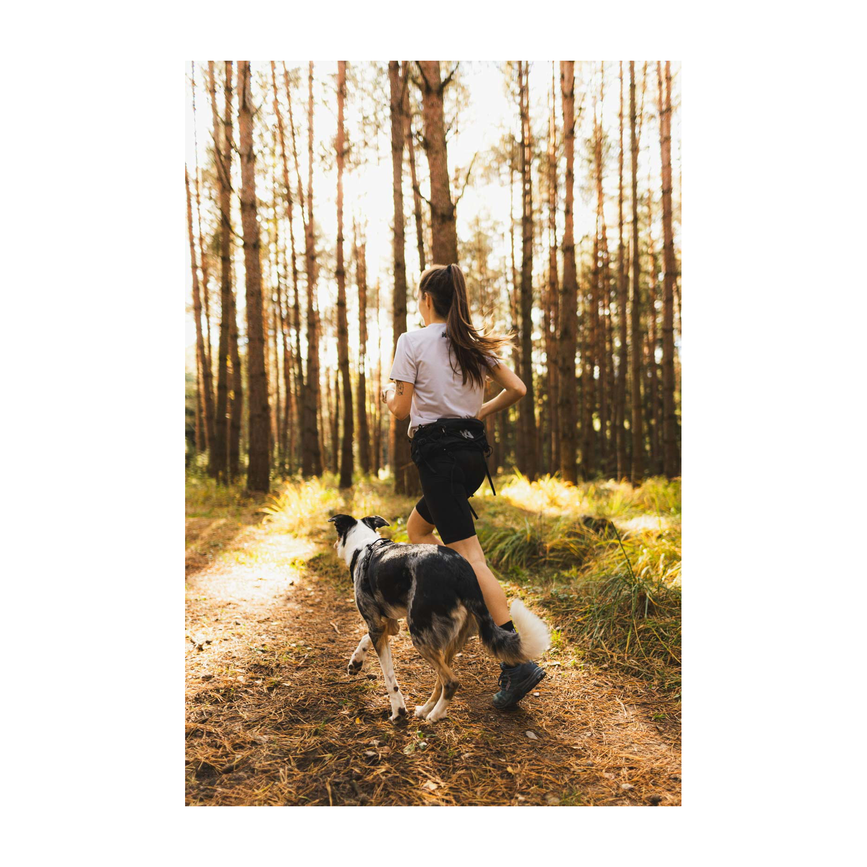 trail_light_belt_setting_2.png