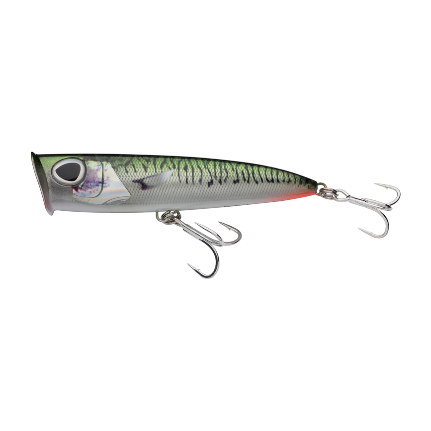 1550602_ms.png