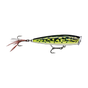 Gilded Lime Frog