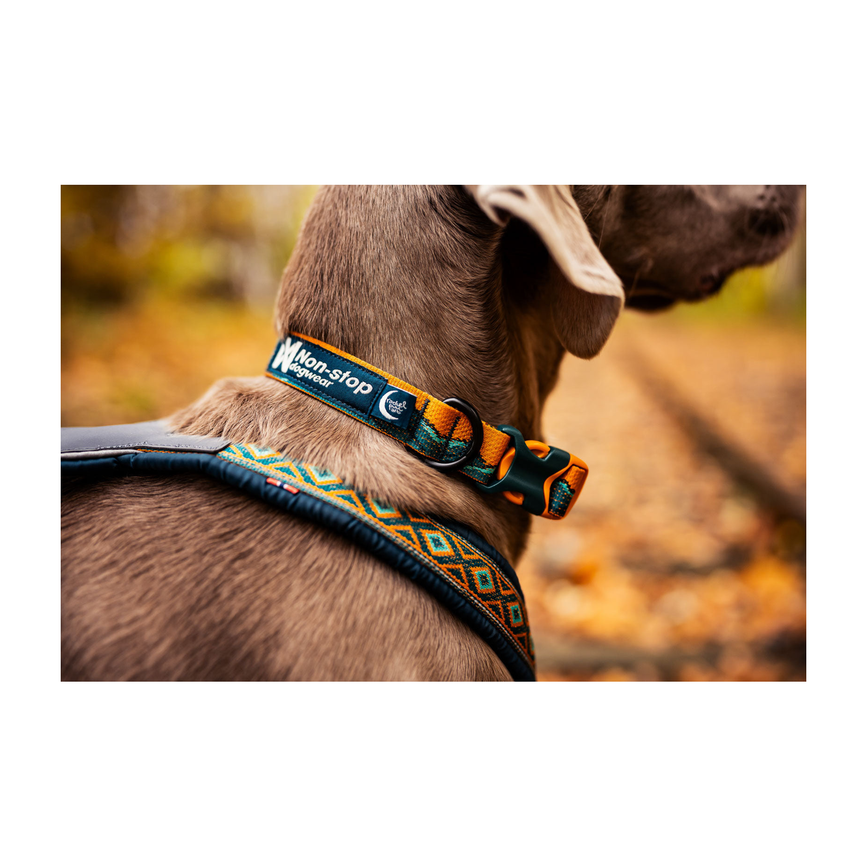 trail_quest_collar_rp_setting_3.png