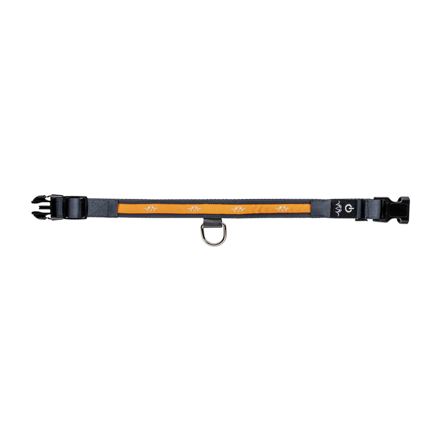 9f-d6-97-1727269026-blaser_hundehalsband_ausgestreckt.png