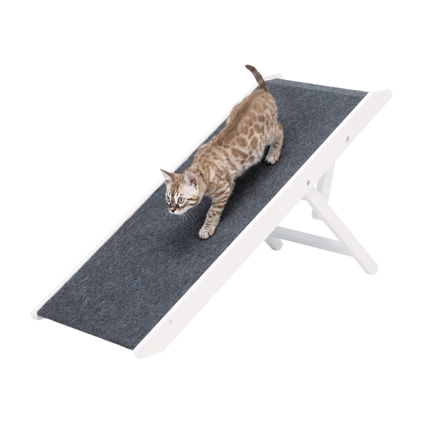 prod1000-pro_cat_clip_39375-1.png
