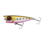 Sunset Sardine