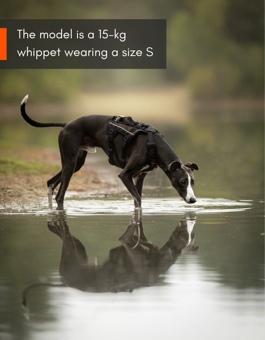rock_harness_long_setting_2.png