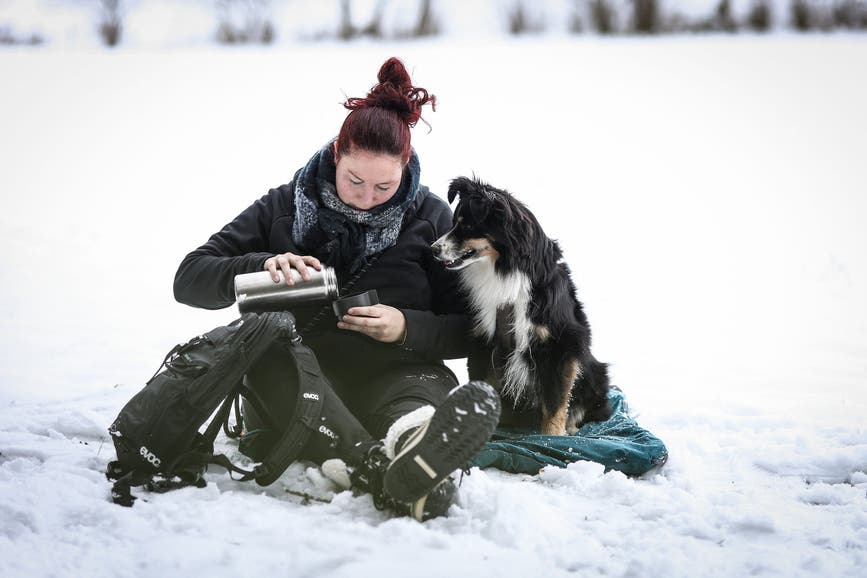 trekking_dog_bed_setting_4.jpg