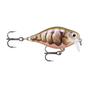 Purple Prawn UV